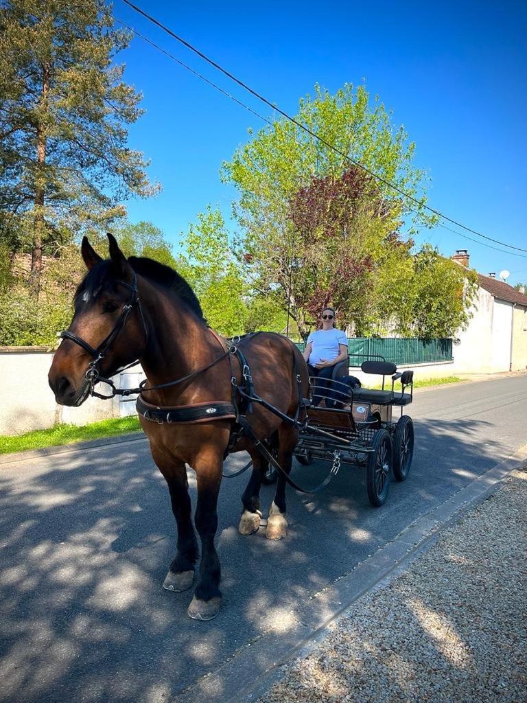 Le Gite De Gaia Ξενοδοχείο Villemer  Εξωτερικό φωτογραφία